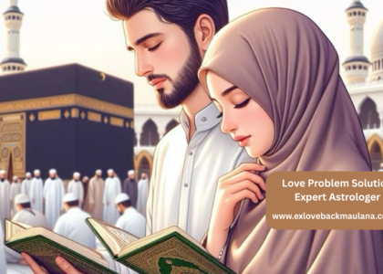 Love Problem Solution Expert Astrologer
